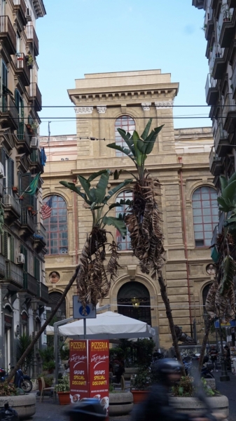 Campania (Неаполь, Капри, Амальфи и др.), октябрь 2016 Campania (Неаполь, Капри, Амальфи и др.), октябрь 2016