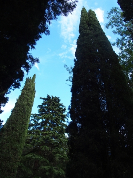 Лучами солнца избалован…  Крым. сентябрь 2016