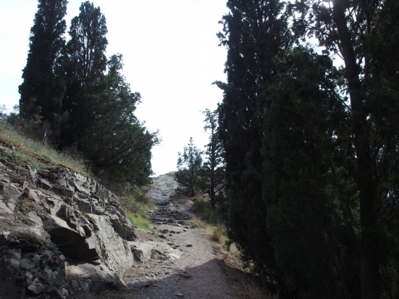 Лучами солнца избалован…  Крым. сентябрь 2016