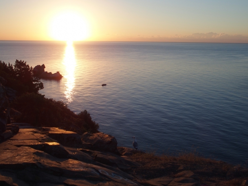 Лучами солнца избалован…  Крым. сентябрь 2016