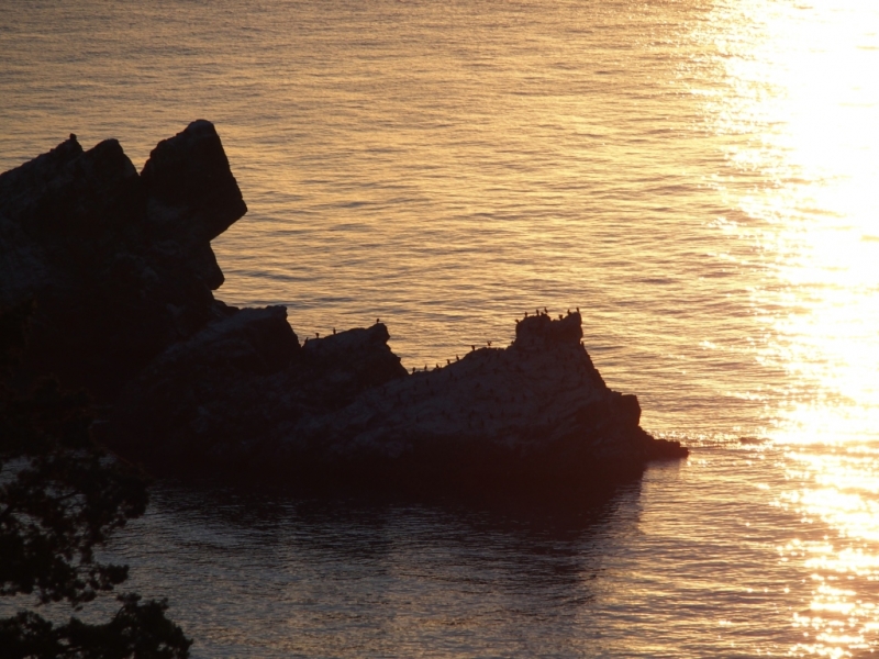 Лучами солнца избалован…  Крым. сентябрь 2016