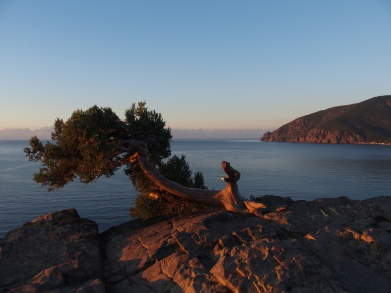 Лучами солнца избалован…  Крым. сентябрь 2016