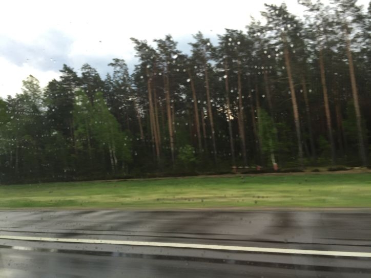 В Европу: в гости к Босху – май 2016.