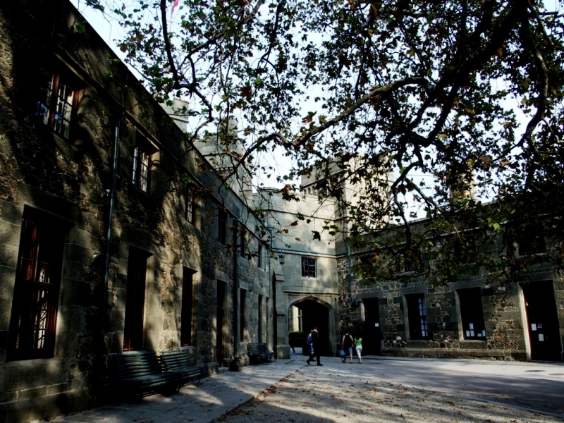 Лучами солнца избалован…  Крым. сентябрь 2016