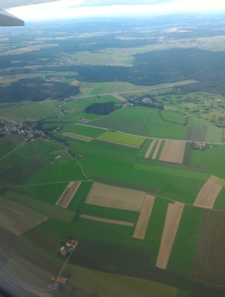 Мудрый воробей, недремлющий лев и букет для Санта-Клауса (Ульм - Линдау - остров Майнау) Мудрый воробей, недремлющий лев и букет для Санта-Клауса (Ульм - Линдау - остров Майнау)