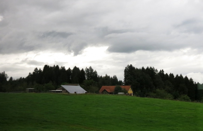 Мудрый воробей, недремлющий лев и букет для Санта-Клауса (Ульм - Линдау - остров Майнау)
