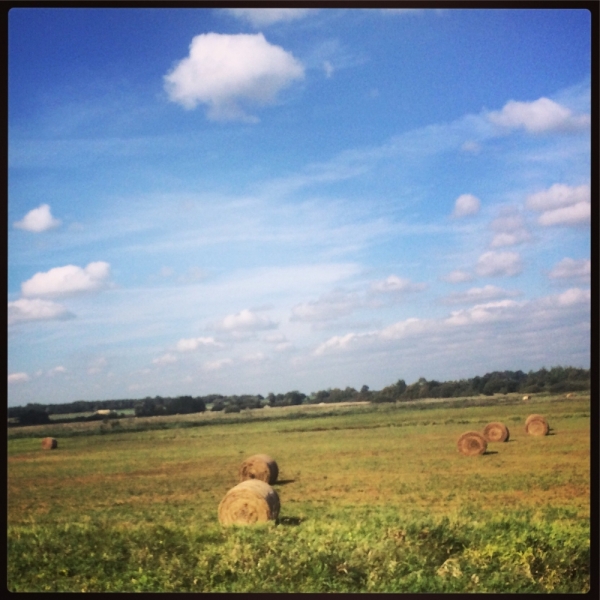 В поисках солнца или до Амальфи и обратно на авто