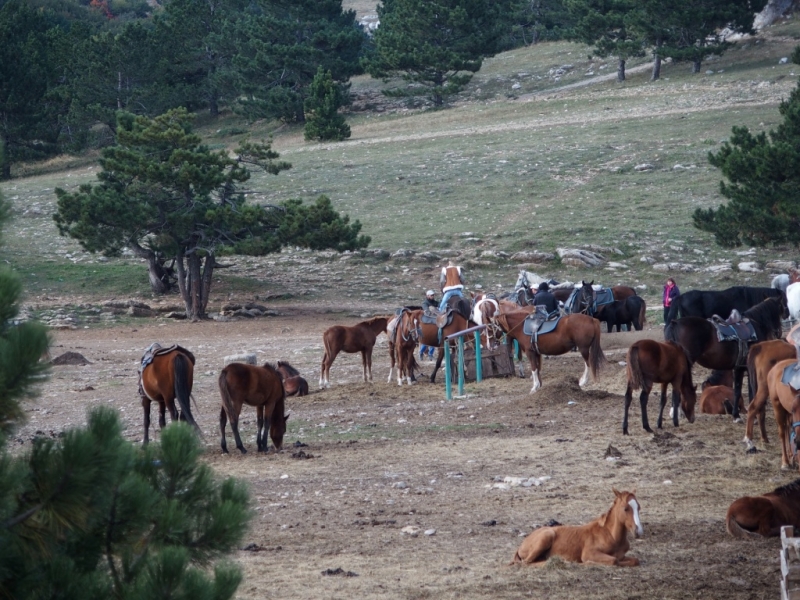 Лучами солнца избалован…  Крым. сентябрь 2016