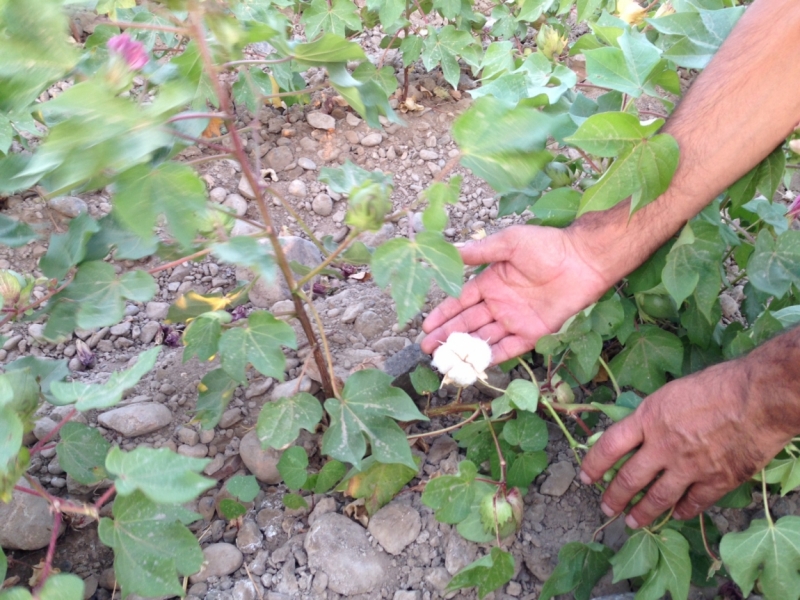 Памирский тракт 2014.