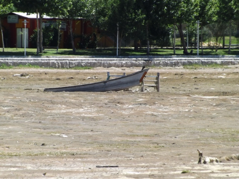 Иран 2016. Наобум