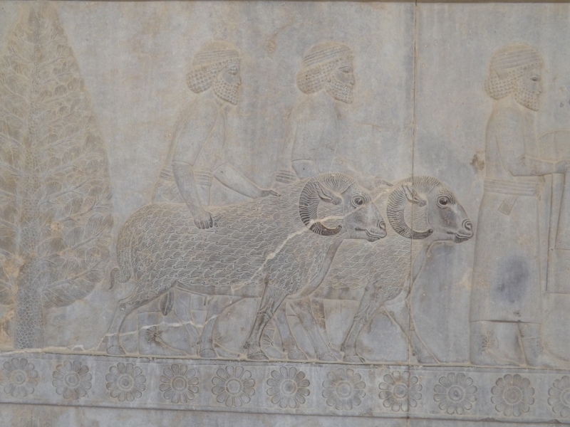 Иран 2016. Наобум