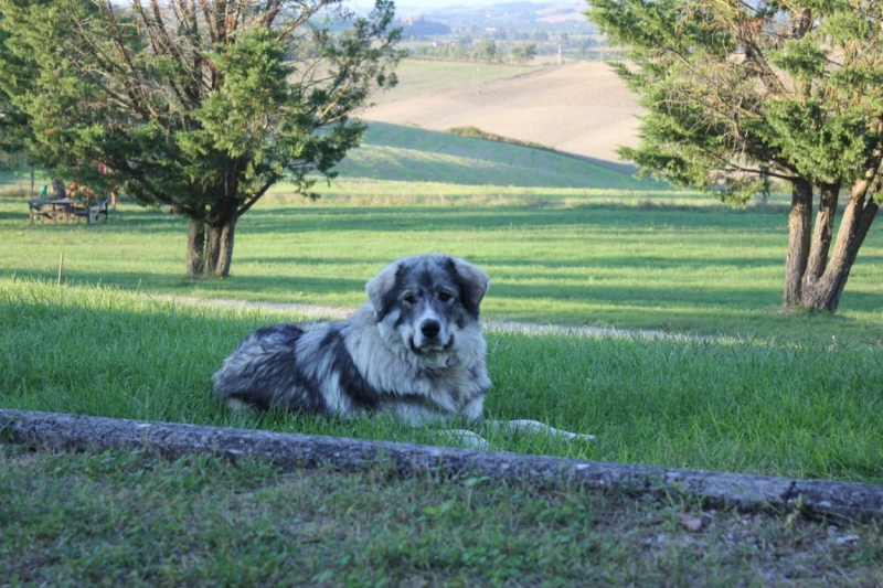 В поисках солнца или до Амальфи и обратно на авто