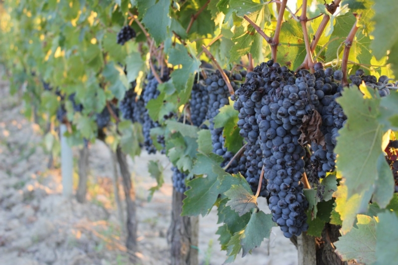 В поисках солнца или до Амальфи и обратно на авто