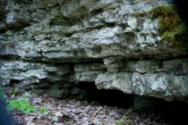 Говорливый3