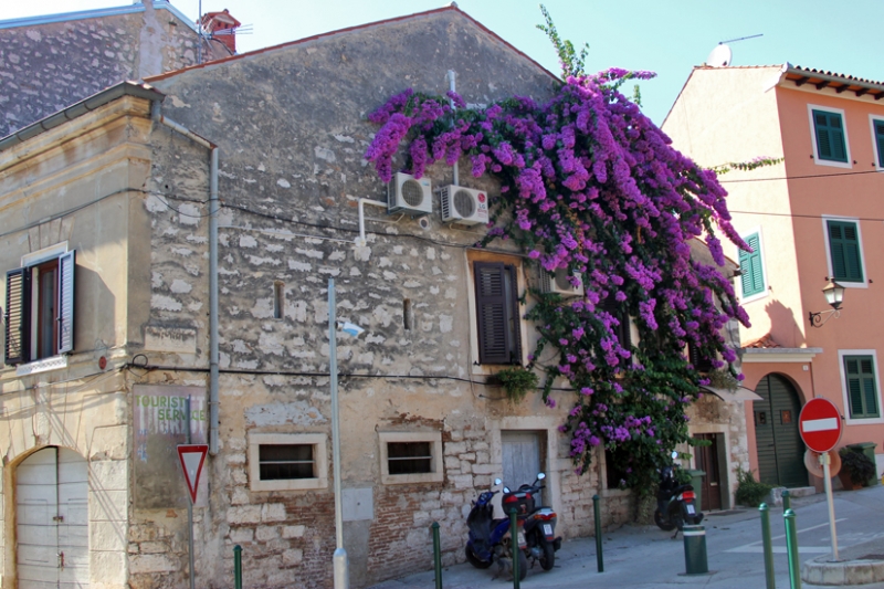 В Хорватию и Черногорию из Москвы на три недели с детьми, 2016