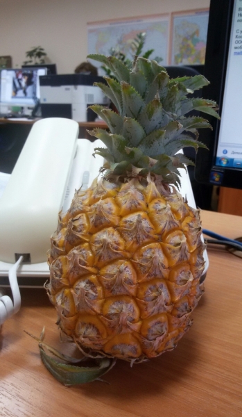 Принял на грудь, скажи что-нибудь! Трезвым вход запрещён!