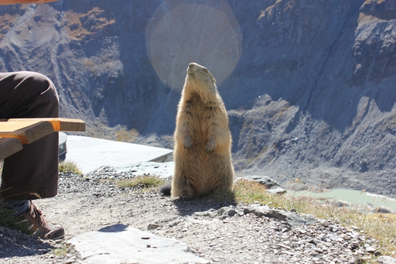 В поисках солнца или до Амальфи и обратно на авто