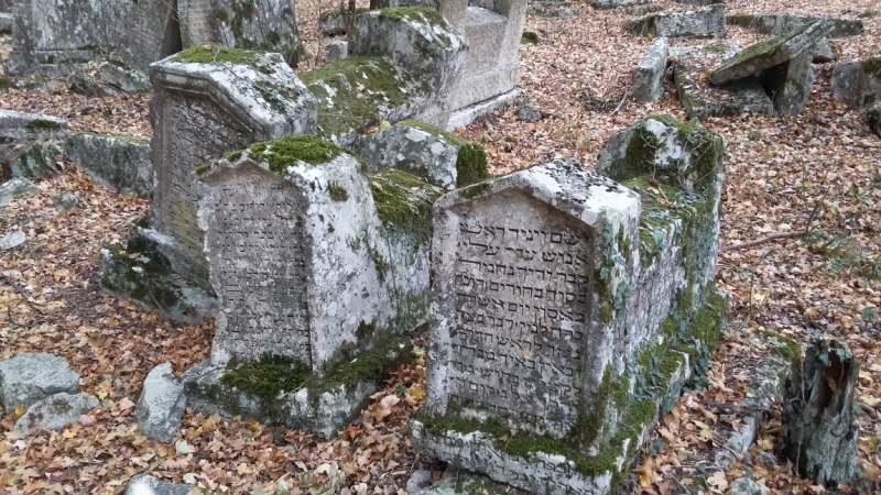 Лучами солнца избалован…  Крым. сентябрь 2016