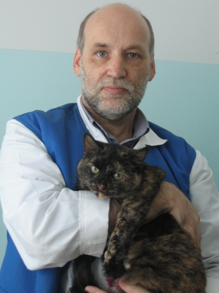 Поговорим о кошках41