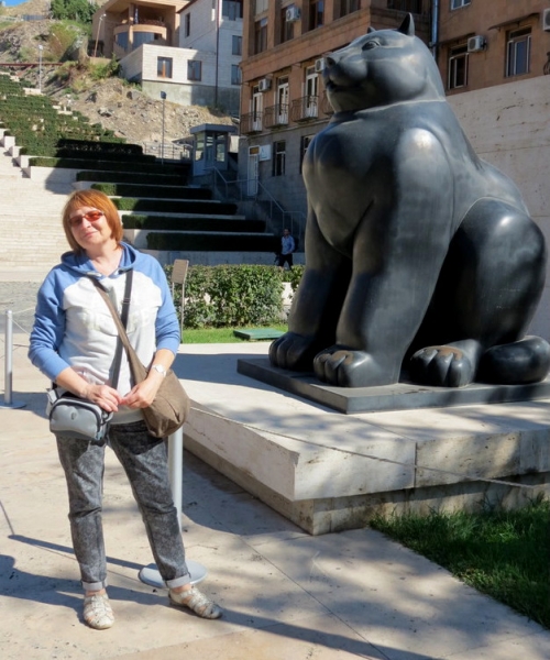 Поговорим о кошках41