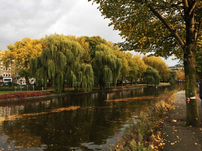 Бенилюкс с выездом из Германии за неделю. Реально?