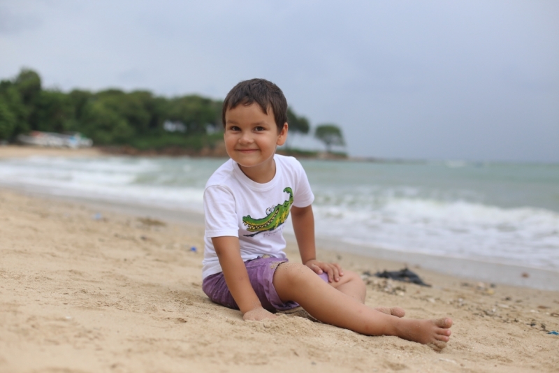 Из «Дневников дачников обыкновенных». Паттайя, сезоны 2012-2016...