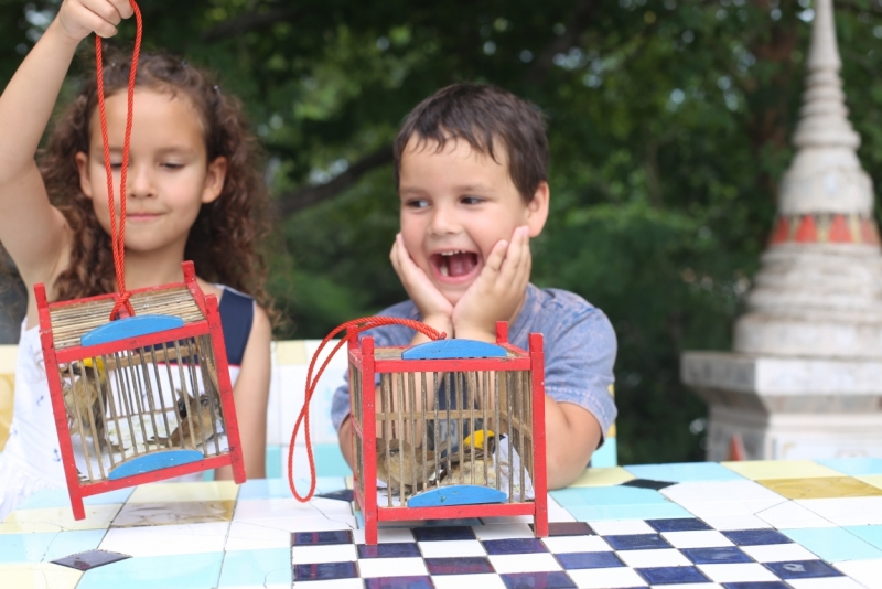 Из «Дневников дачников обыкновенных». Паттайя, сезоны 2012-2016...