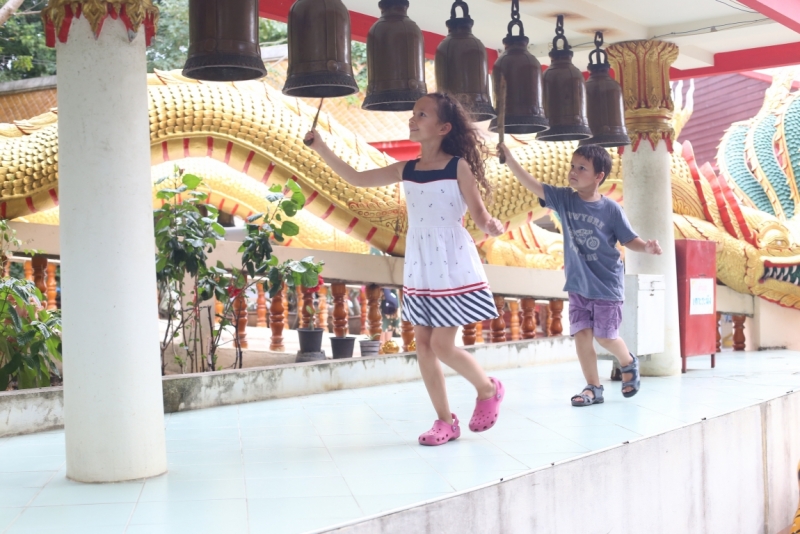 Из «Дневников дачников обыкновенных». Паттайя, сезоны 2012-2016...