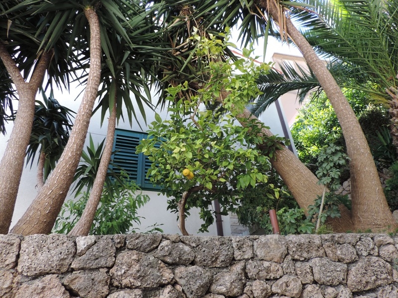 Хорватия: Брела, Омишь, отдых с детьми в июне - июле 2016