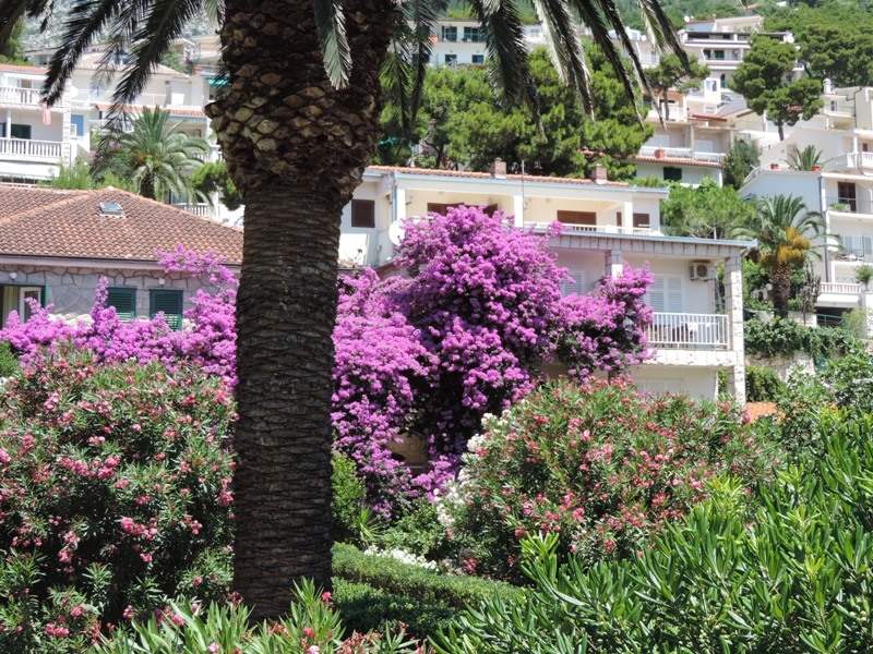 Хорватия: Брела, Омишь, отдых с детьми в июне - июле 2016