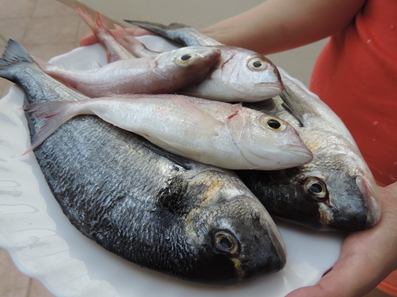 Хорватия: Брела, Омишь, отдых с детьми в июне - июле 2016