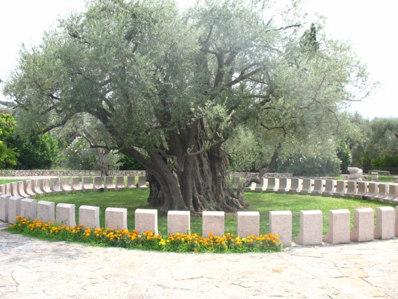 Бар, Петровац, Ульцинь, Подгорица (фото)