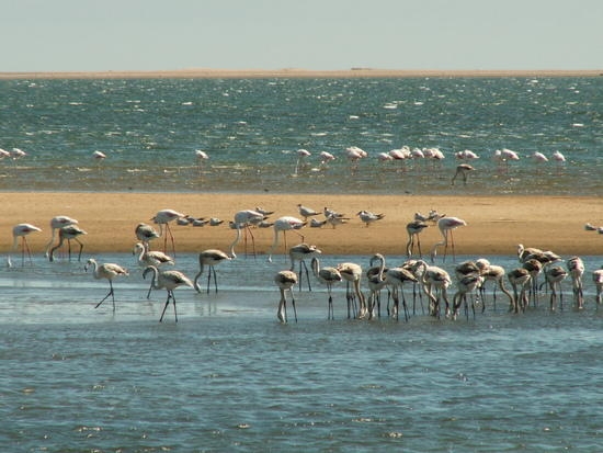 Круизный порт Валвис Бэй, Намибия (Walvis Bay, Namibia)