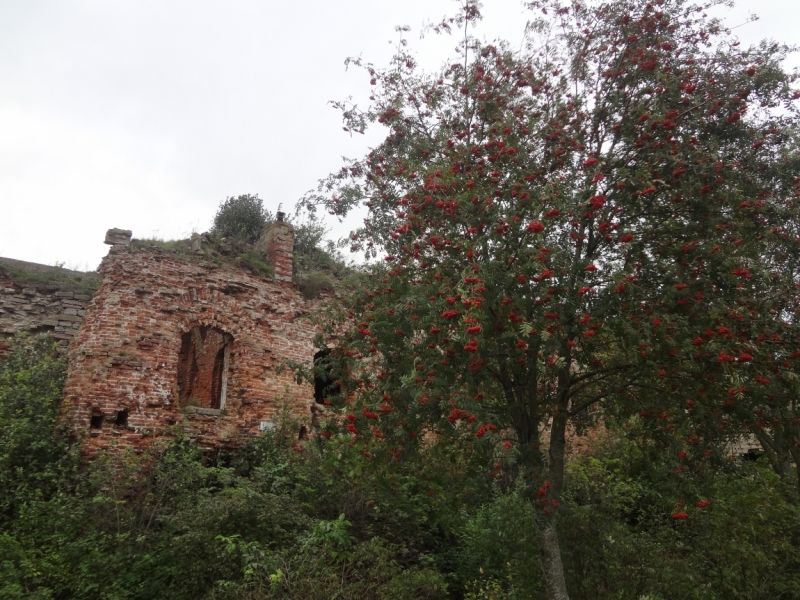 7 дней в Питере и не только (автопутешествие)