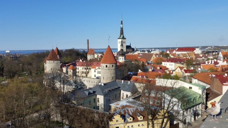 Майские на авто: Вся Прибалтика за 9 дней