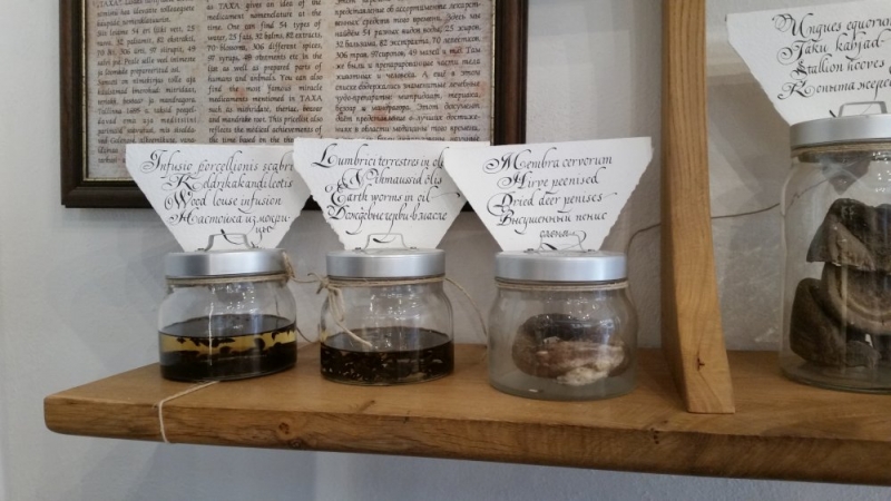 Майские на авто: Вся Прибалтика за 9 дней