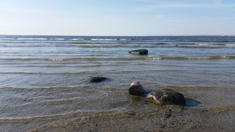 Майские на авто: Вся Прибалтика за 9 дней