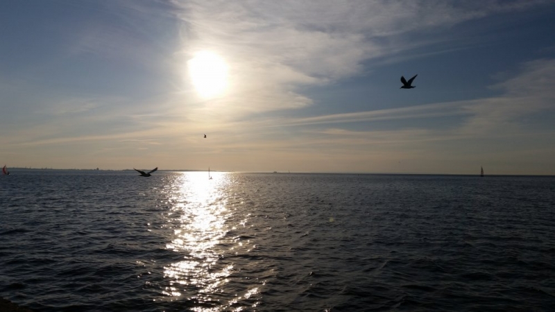 Майские на авто: Вся Прибалтика за 9 дней