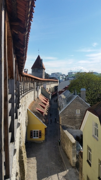 Майские на авто: Вся Прибалтика за 9 дней