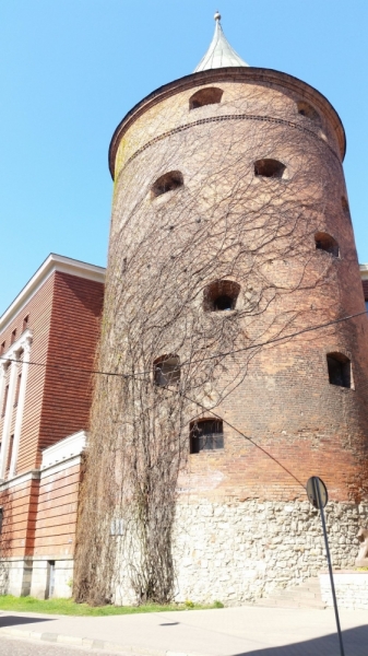 Майские на авто: Вся Прибалтика за 9 дней