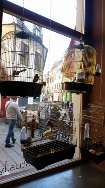 Майские на авто: Вся Прибалтика за 9 дней