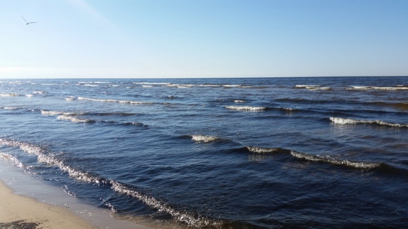 Майские на авто: Вся Прибалтика за 9 дней