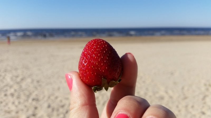 Майские на авто: Вся Прибалтика за 9 дней