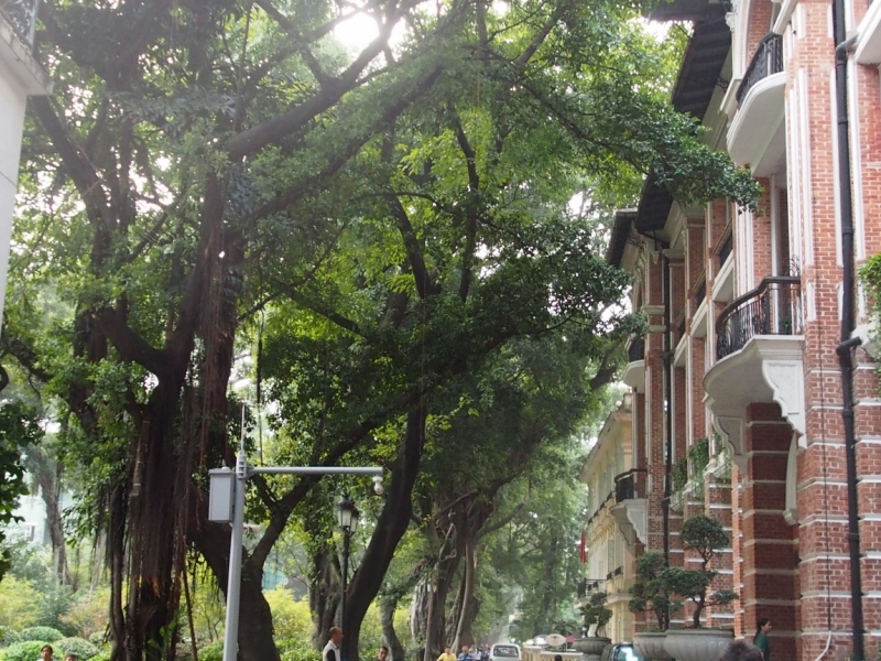 Галопом по Китаю. Гуанчжоу-Гулинь-Яншо-Гуйлинь-Чжандзанце-Гуанчжоу за 8 дней.