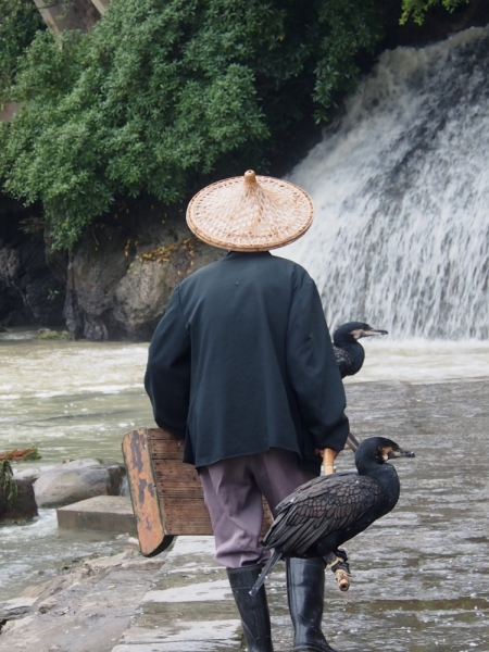 Галопом по Китаю. Гуанчжоу-Гулинь-Яншо-Гуйлинь-Чжандзанце-Гуанчжоу за 8 дней.