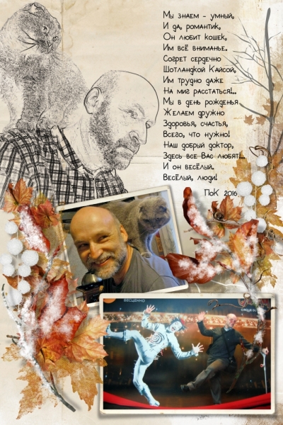 Поговорим о кошках41