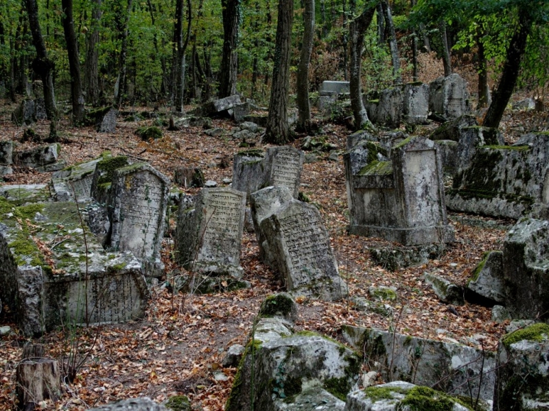 Лучами солнца избалован…  Крым. сентябрь 2016
