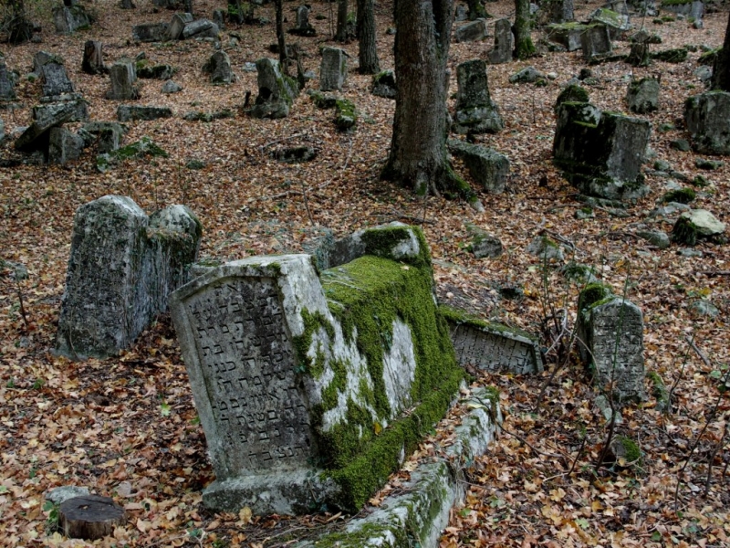 Лучами солнца избалован…  Крым. сентябрь 2016