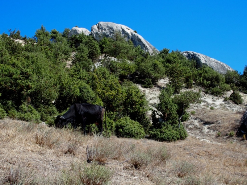 Лучами солнца избалован…  Крым. сентябрь 2016