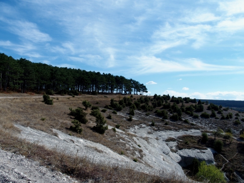 Лучами солнца избалован…  Крым. сентябрь 2016